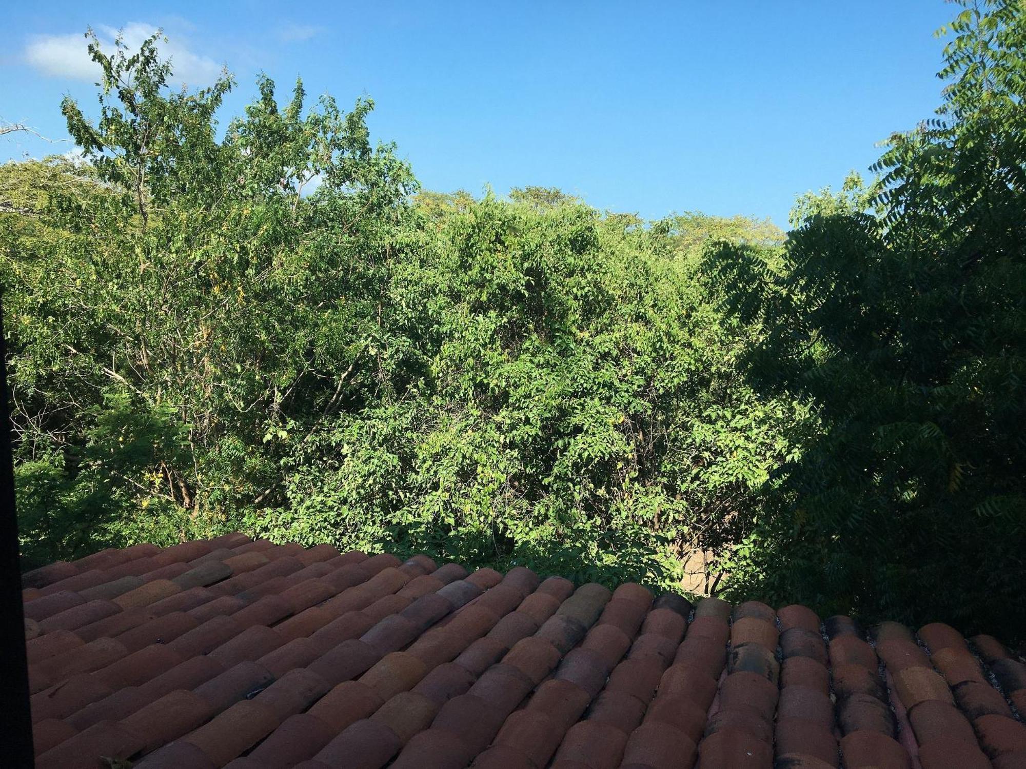 Centro Sati Bungalow Cuatunalco Buitenkant foto
