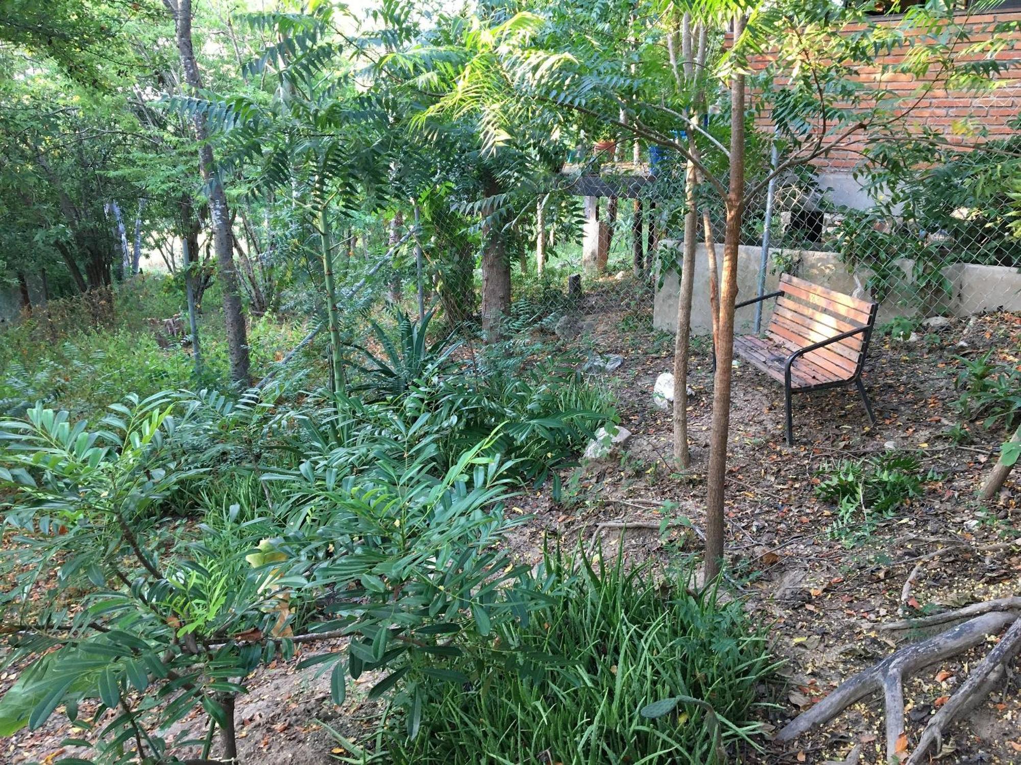 Centro Sati Bungalow Cuatunalco Buitenkant foto